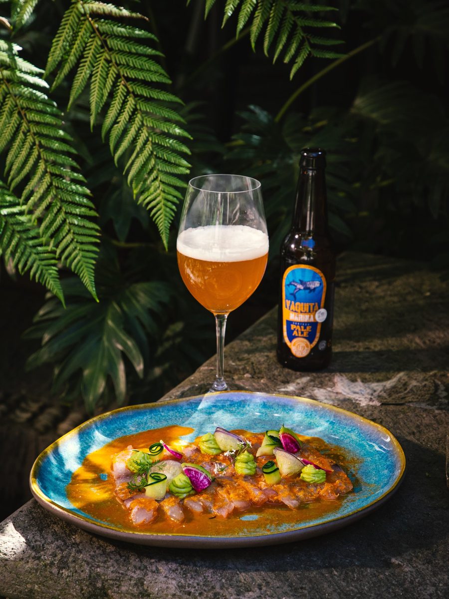 Ceviche de pescado con aguacate y rábano, maridado con cerveza artesanal, Marogui