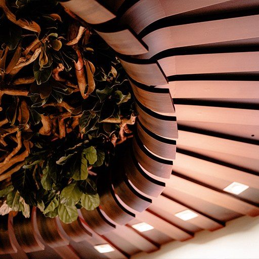 Detalle del techo de madera curvo con vegetación colgante, Marogui